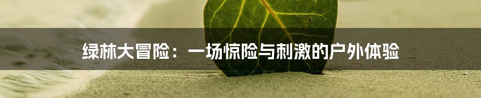 绿林大冒险:一场惊险与刺激的户外体验