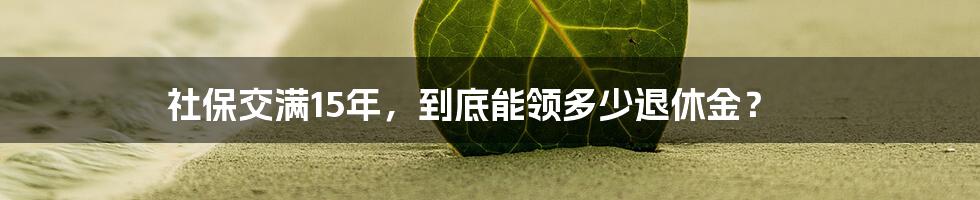 社保交满15年,到底能领多少退休金?