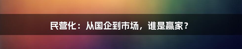 民营化:从国企到市场,谁是赢家?