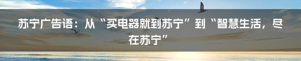 苏宁广告语:从“买电器就到苏宁”到“智慧生活,尽在苏宁”