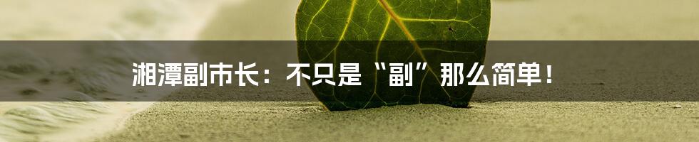湘潭副市长:不只是“副”那么简单!