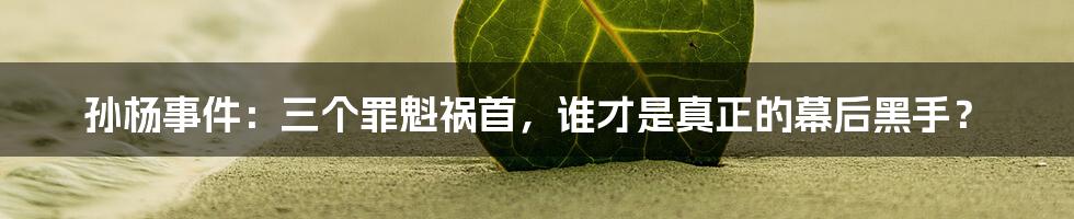 孙杨事件:三个罪魁祸首,谁才是真正的幕后黑手?