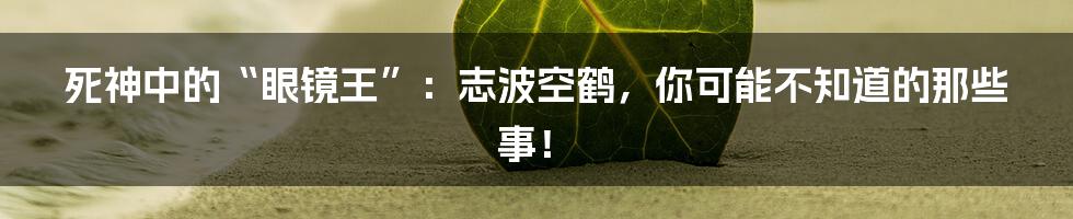 死神中的“眼镜王”:志波空鹤,你可能不知道的那些事!