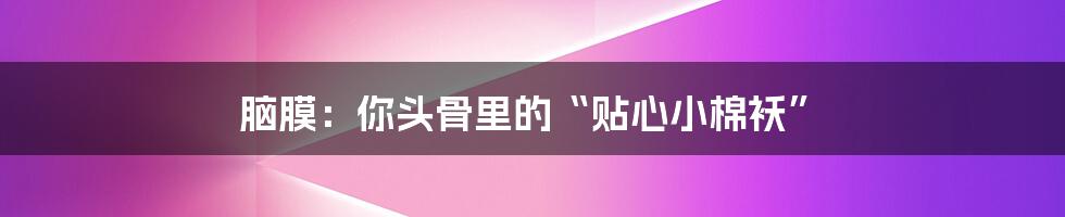 脑膜:你头骨里的“贴心小棉袄”