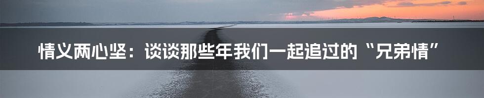 情义两心坚:谈谈那些年我们一起追过的“兄弟情”
