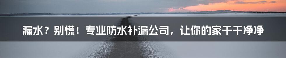 漏水?别慌!专业防水补漏公司,让你的家干干净净