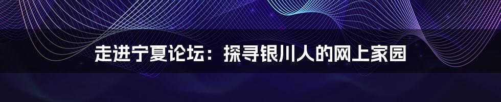 走进宁夏论坛:探寻银川人的网上家园
