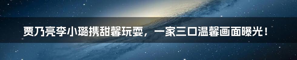 贾乃亮李小璐携甜馨玩耍,一家三口温馨画面曝光!