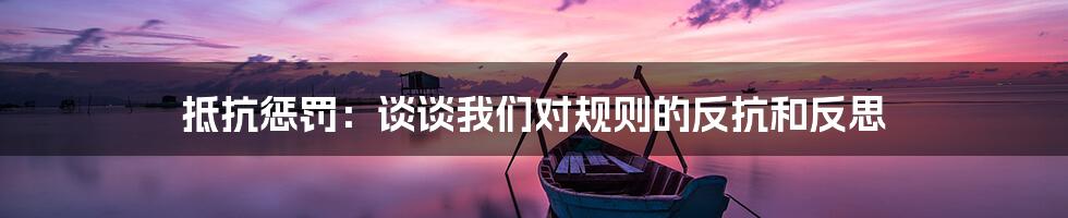 抵抗惩罚:谈谈我们对规则的反抗和反思