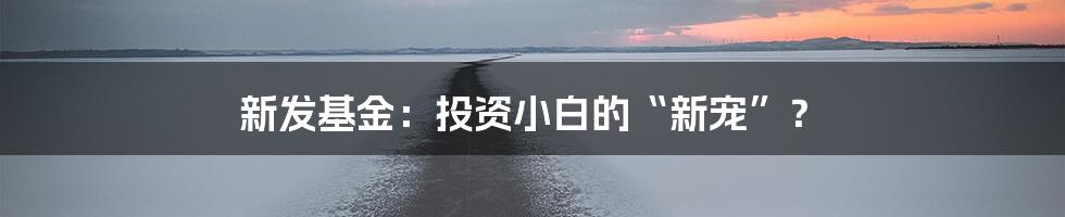 新发基金：投资小白的“新宠”？