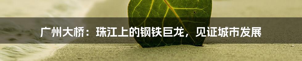 广州大桥:珠江上的钢铁巨龙,见证城市发展
