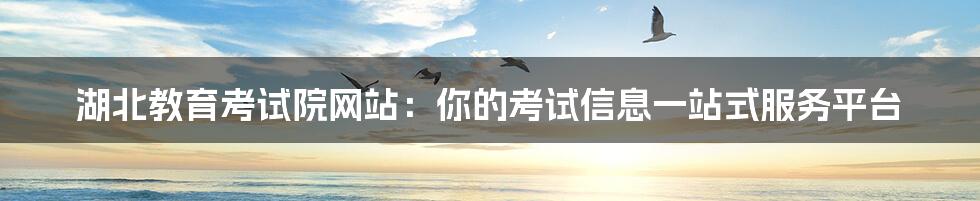 湖北教育考试院网站:你的考试信息一站式服务平台
