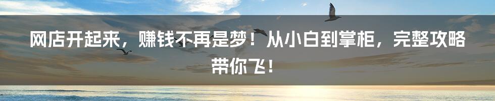 网店开起来,赚钱不再是梦!从小白到掌柜,完整攻略带你飞!