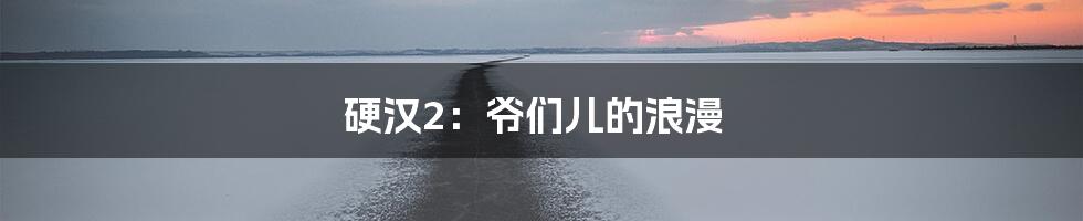 硬汉2:爷们儿的浪漫