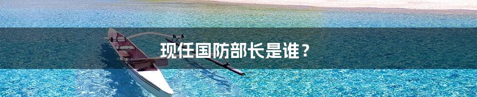 现任国防部长是谁?