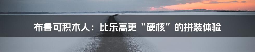 布鲁可积木人:比乐高更“硬核”的拼装体验