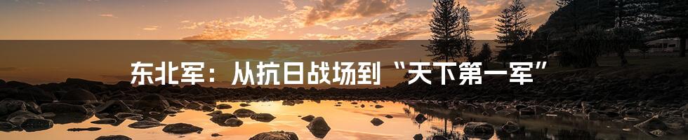 东北军:从抗日战场到“天下第一军”