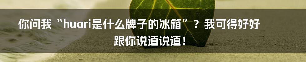 你问我“huari是什么牌子的冰箱”?我可得好好跟你说道说道!