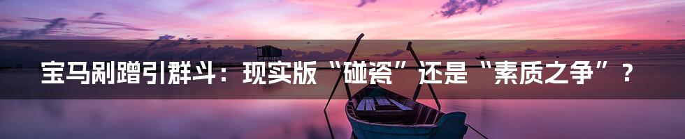 宝马剐蹭引群斗:现实版“碰瓷”还是“素质之争”?