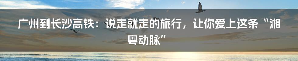 广州到长沙高铁：说走就走的旅行，让你爱上这条“湘粤动脉”