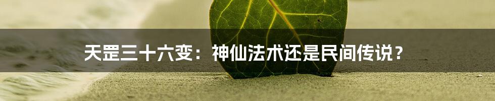 天罡三十六变:神仙法术还是民间传说?