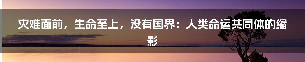 灾难面前，生命至上，没有国界：人类命运共同体的缩影
