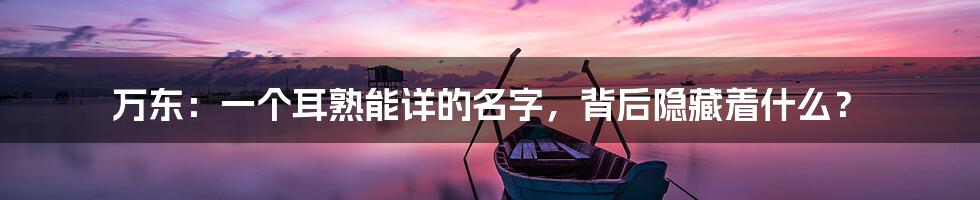 万东:一个耳熟能详的名字,背后隐藏着什么?