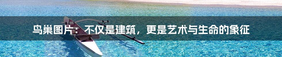 鸟巢图片:不仅是建筑,更是艺术与生命的象征