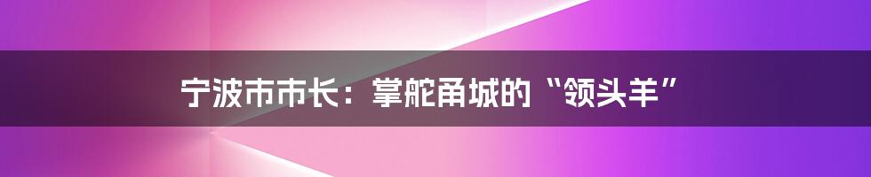 宁波市市长:掌舵甬城的“领头羊”