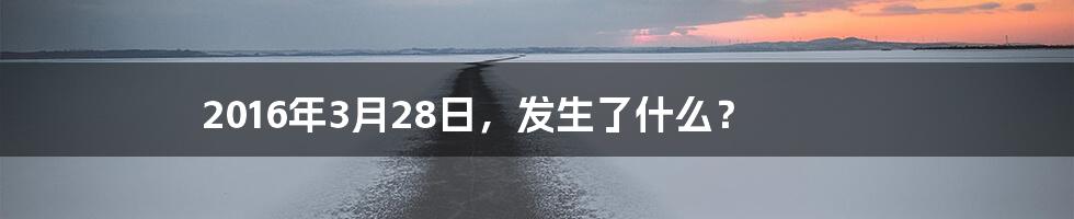 2016年3月28日,发生了什么?