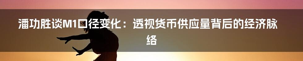 潘功胜谈M1口径变化:透视货币供应量背后的经济脉络