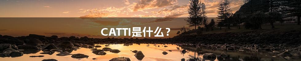 CATTI是什么?