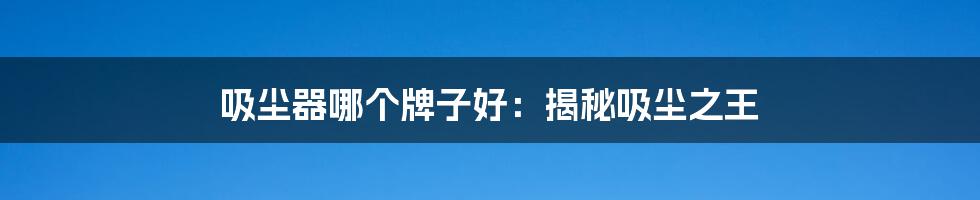 吸尘器哪个牌子好：揭秘吸尘之王