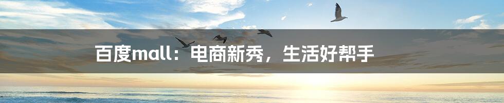 百度mall:电商新秀,生活好帮手