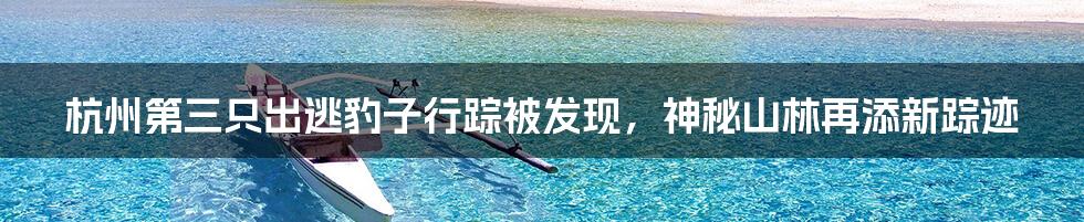 杭州第三只出逃豹子行踪被发现,神秘山林再添新踪迹