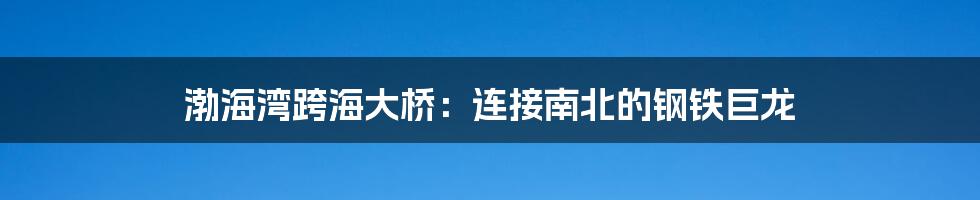 渤海湾跨海大桥:连接南北的钢铁巨龙