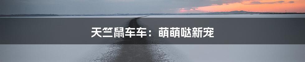 天竺鼠车车:萌萌哒新宠