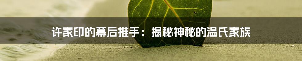 许家印的幕后推手:揭秘神秘的温氏家族