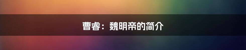 曹睿:魏明帝的简介