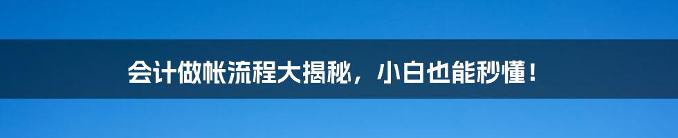 会计做帐流程大揭秘,小白也能秒懂!