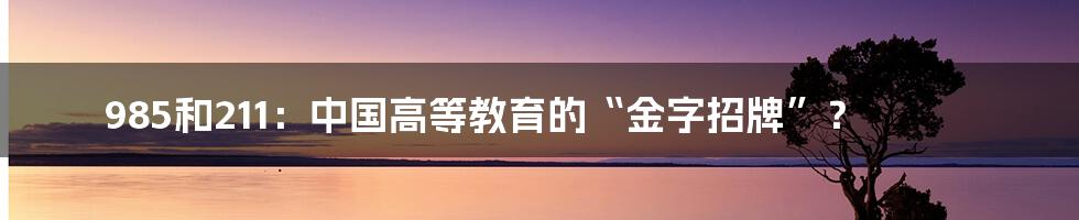 985和211:中国高等教育的“金字招牌”?