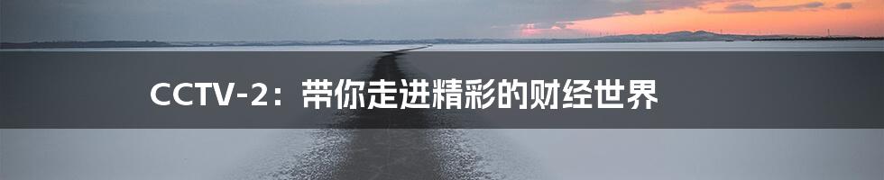 CCTV-2:带你走进精彩的财经世界