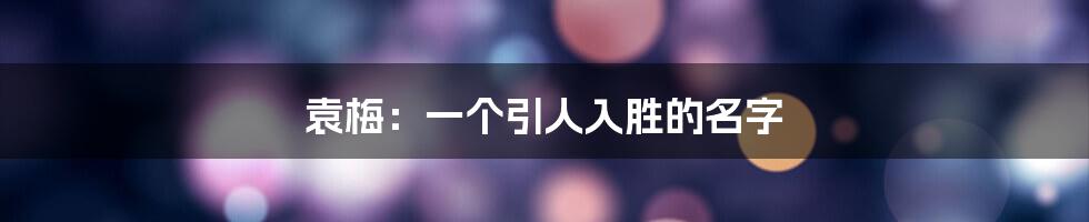 袁梅:一个引人入胜的名字
