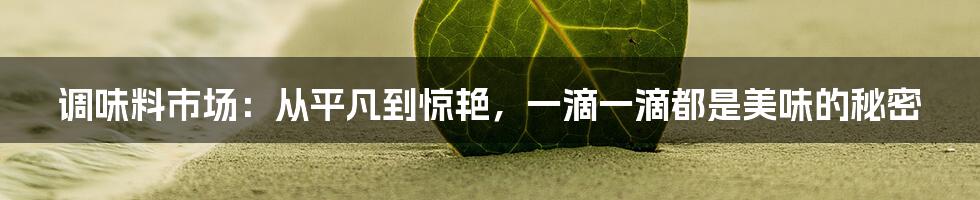 调味料市场:从平凡到惊艳,一滴一滴都是美味的秘密