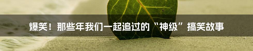 爆笑！那些年我们一起追过的“神级”搞笑故事