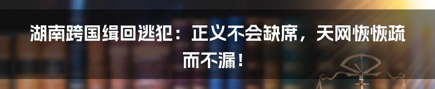 湖南跨国缉回逃犯:正义不会缺席,天网恢恢疏而不漏!