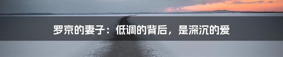 罗京的妻子:低调的背后,是深沉的爱