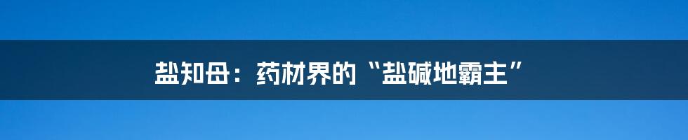 盐知母：药材界的“盐碱地霸主”