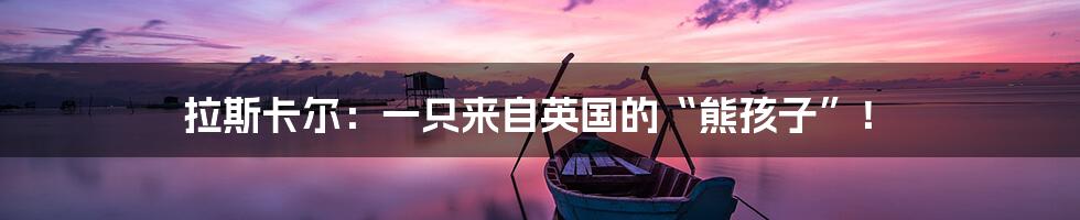 拉斯卡尔:一只来自英国的“熊孩子”!