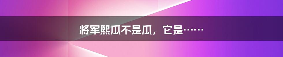 将军熙瓜不是瓜,它是……